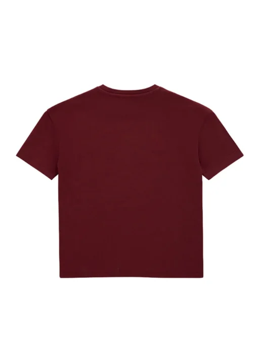 Iceberg Kids T-shirt Bordeaux Daffy Champions per Bambini