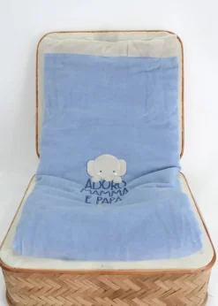 Minibanda Coperta Celeste con Ricamo per Neonati