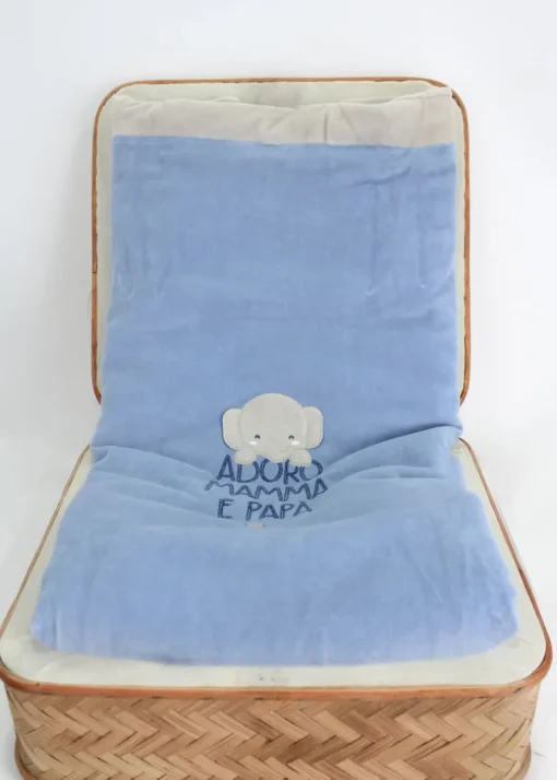 Minibanda Coperta Celeste con Ricamo per Neonati